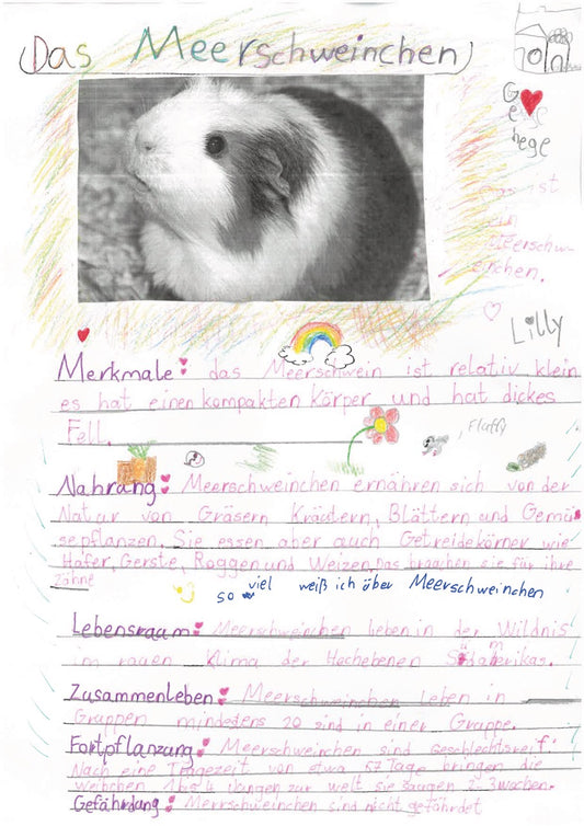 Welche Tiere sind eigentlich Säugetiere?