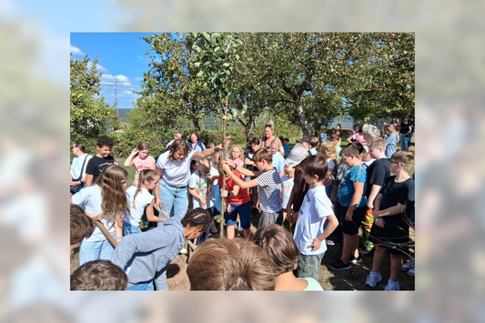 Gelungener Start an der Oberzent-Schule