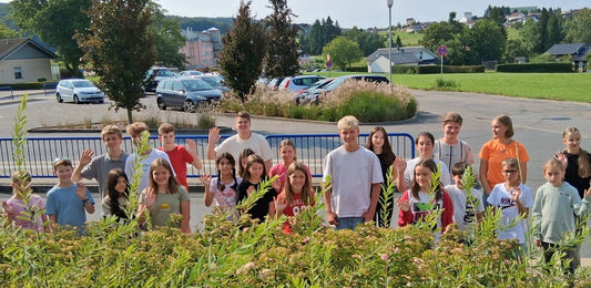 Infoabend zum Übergang 4 nach 5 an der Oberzent-Schule