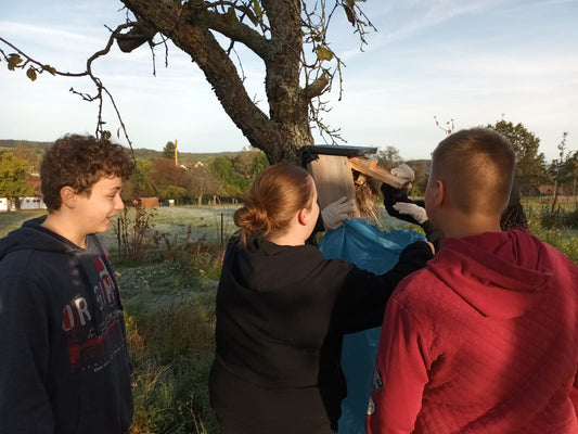 Oberzent-Schule und Vogelschutz – „Für die Vögel…“